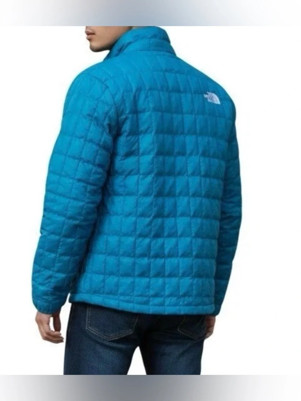 The North Face north face